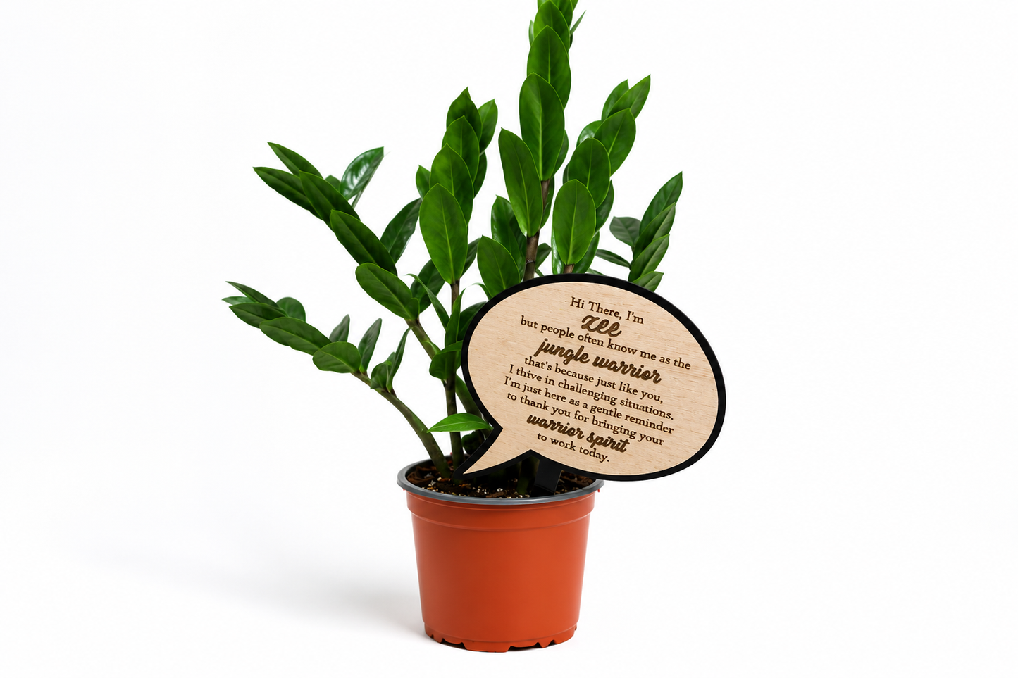 Jungle Warrior ZZ Plant | Encouragement Gift | Positive Plant Stake
