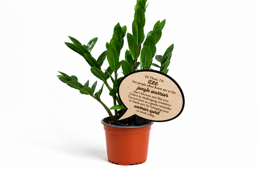 Jungle Warrior ZZ Plant | Encouragement Gift | Positive Plant Stake