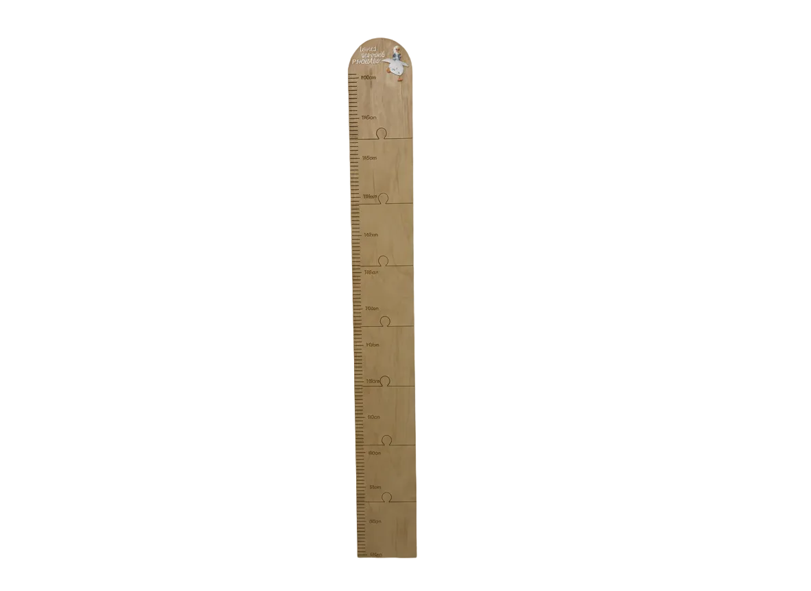 Personalisable Plywood Growth Chart – Silly Goose (50–180cm)